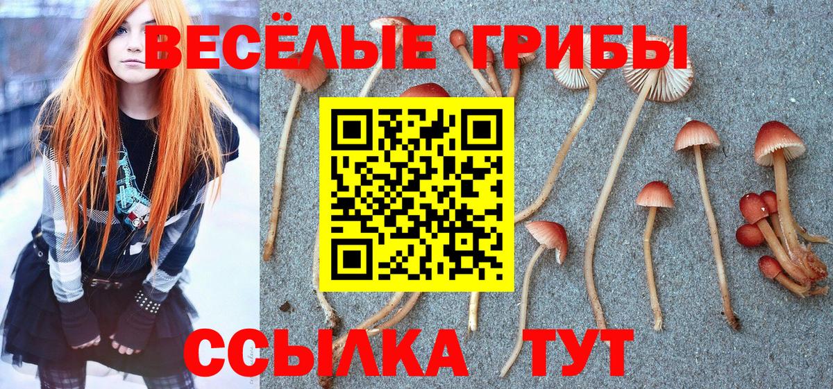 Михайловск  Псилоцибиновые грибы GOLDEN TEACHER  Вход с VPN  Псилоцибиновые грибы Magic Shrooms 